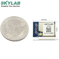 Skylab wep 128 wireless uart esp32 esp8266 802.11b/g/n wireless webcam micro WiFi module for Smart Home Gateway